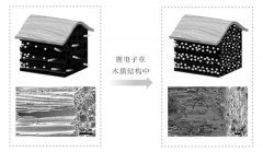 <b>������W(xu��)��ľ���늳� ��ȫ���ɿ�</b>