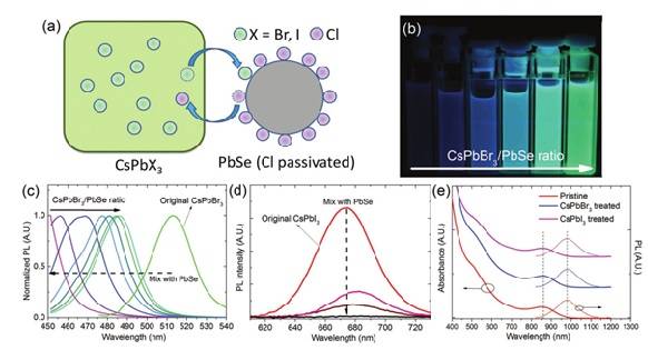 新南威爾士大學(xué)Adv. Mater.:高效硒化鉛量子點(diǎn)太陽(yáng)能電池——基于鈣鈦礦納米晶體的離子交換鈍化法 新南威爾士大學(xué)Adv. Mater.:高效硒化鉛量子點(diǎn)太陽(yáng)能電池——基于鈣鈦礦納米晶體的離子交換鈍化法