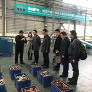 <b>������������Դȫ�������ڃrֵ朳������ͣ��e�O������1+N���U�f늳ػ������þW(w��ng)�j</b>