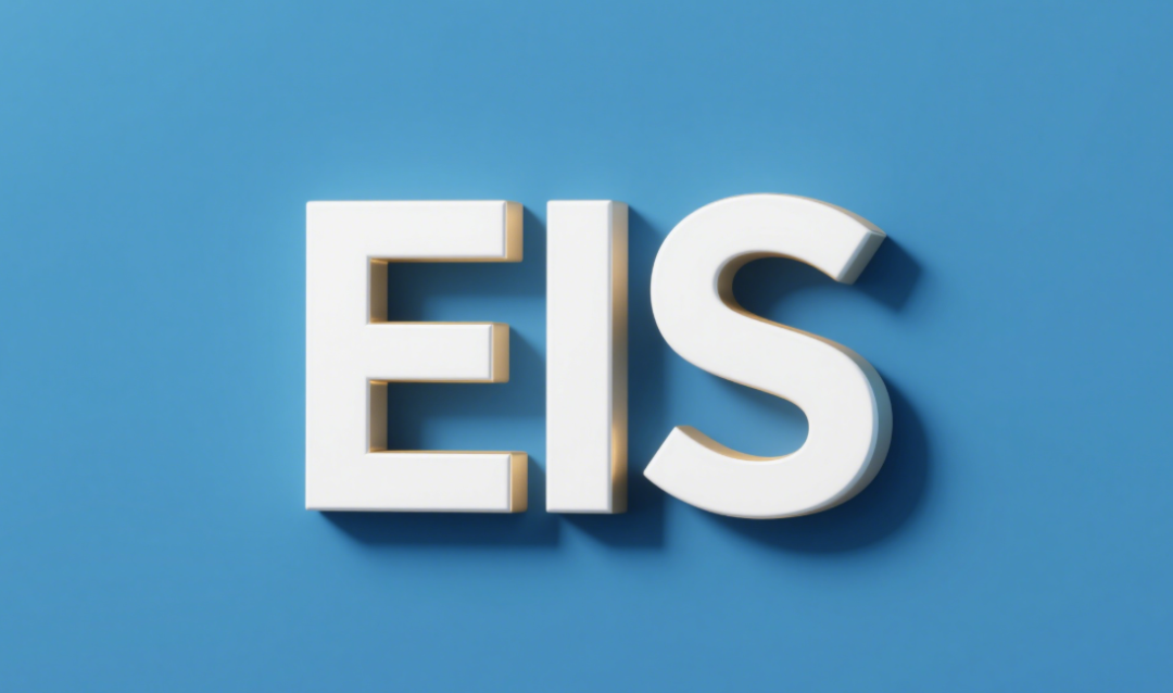 <b>늻��W�����迹�V (EIS) ��ʲô����ʲô����</b>